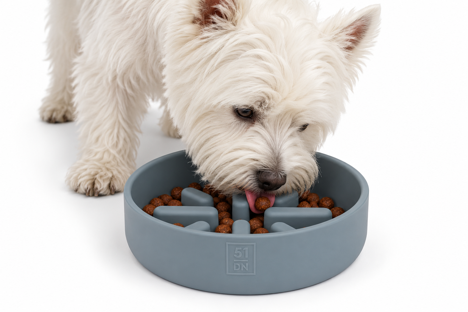Slow Feeder Bowl 350 ml für Schnellfresser - Farbe: Petrol