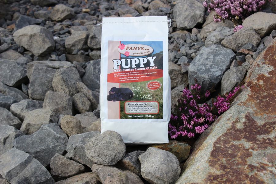 Puppy Maxi (Junior) Lamm & Reis - 2,0 Kg