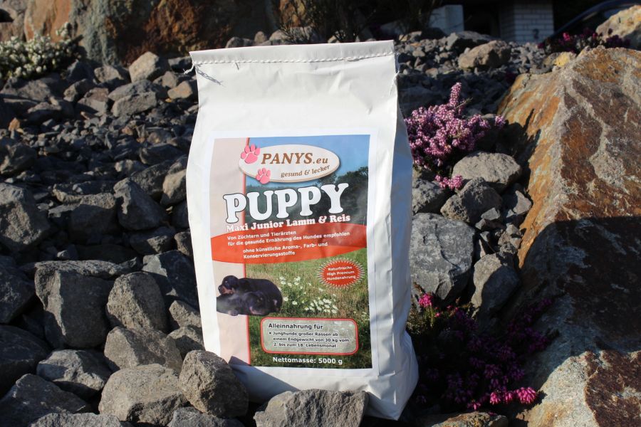 Puppy Maxi (Junior) Lamm & Reis - 5,0 Kg